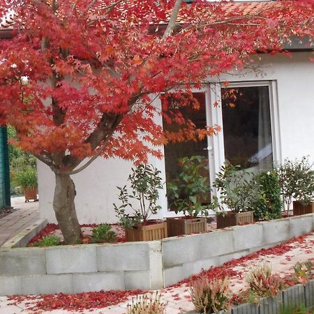 Appartement Haus Magnolia 2 à Kandern Extérieur photo